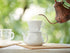 Kalita HASAMI & Kalita HA101#01010 Coffee Dripper, Porcelain Hasami Ware for 1-2 People...