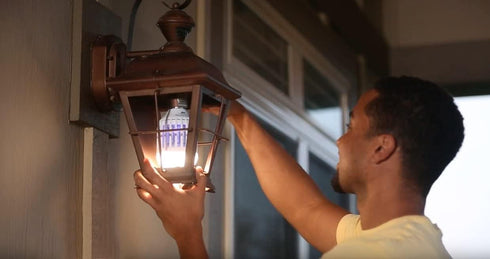 Bug Zapper Light Bulb 2 in 1 LED Light for Fruit Flies, Mosquito, Bug, Insect and Fly Control - Traps...