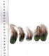 MAHAVIMOKSA 100pcs Natural Feather for DIY Craft Earring Wings Wedding Party Home Decoration (Green Lady Amherst Bronze Iridescent Plumage)...