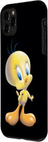 iPhone 11 Pro Looney Tunes Tweety Bird Airbrushed Case...
