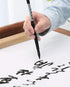Easyou Calligraphy Painting Sets for Japanese Chinese Calligraphy Practice Beginner Updated...