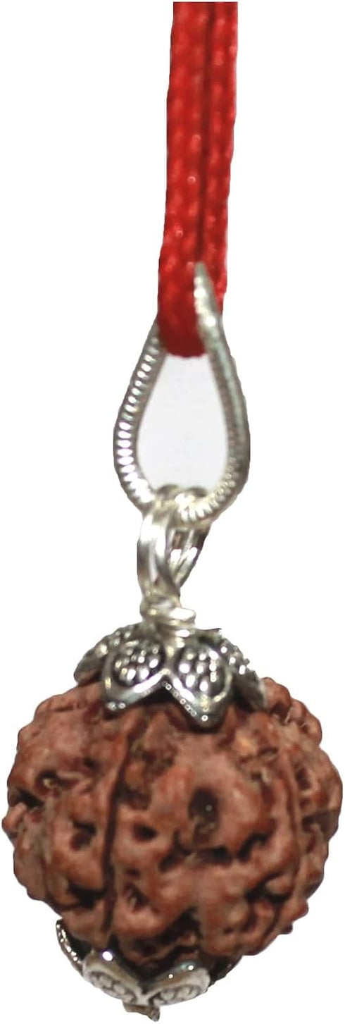 5 Face Rudraksha Pendant/ 5 Mukhi Rudraksha Pendant |Certified|...