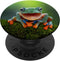 Frog Fun PopSocket: Green Frog Gift PopGrip for Phones & Tablets - Swappable Top, Adhesive Mount, Compatible with Most Cases...