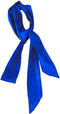 Stylish Soft Scarf Ribbon Scarf Long Skinny Satin Belt Sash Necktie Neck Scarf Choker for Women...
