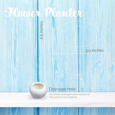 Flower Pot for House Plants-Plant Pots for Indoor & Outdoor Use (Single Round) by Arad...