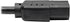 Tripp Lite Standard Computer Power Cord 10A,18AWG (NEMA 5-15P to IEC-320-C13) 6-ft.(P006-006)...
