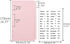 Pink Cash Envelopes A6 Binder Pockets Dividers 6 Tabs PP A6 Binder Inserts with Label Stickers Cash Envelope for Budgeting A6 6-Ring Budget Binder...