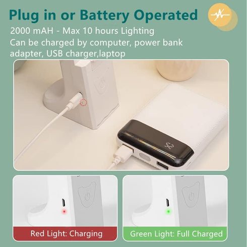 LED Double Head Desk Lamp with Large Lighting Range for Home Office,Portable Small Battery Operated Rechargeable Light for Kids,Reading,Studying,D...