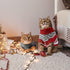 2 Pieces Christmas Cat Dog Sweater Christmas Sweater Cat Christmas Outfit Holiday Sweater for Small Dogs Winter Knitwear Xmas Pet Clothes Warm Rei...