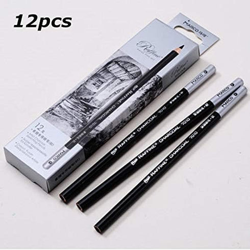 12pcs Sketch Charcoal Pencil, Professional Non-toxic Drawing Sketching Blending Charcoal Pencils Set (Hard, Medium, Soft)(Soft)...