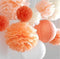 12Pcs Pom Poms of 10" 12" 14" Tissue Paper Craft Pom Poms Kit Tissue Paper Flowers Wedding Decorations for Wedding, Birthday, Baby Shower, Nursery...
