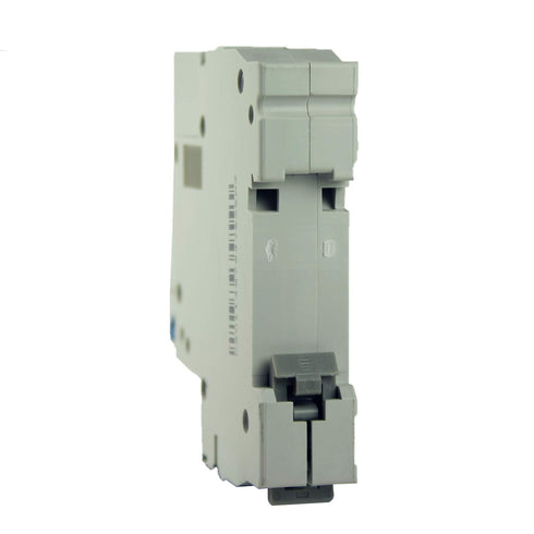 100A, 240V AC, 60V DC, 1 Pole, DIN Rail Mount Miniature Circuit Breaker, Trip Curve: C, UL1077...