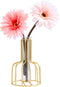 Desktop Plant Vases with Test Tube Glass Flower Vase with Gold Metal Stand Propagation Station Plant Holder for Home Wedding Decor (Gold, Bottle)...