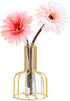 Desktop Plant Vases with Test Tube Glass Flower Vase with Gold Metal Stand Propagation Station Plant Holder for Home Wedding Decor (Gold, Bottle)...