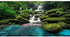 AWERT 30x18 inches Waterfall Terrarium Background Tropical Rainforest Aquarium Background Mountain Lake Green Tree Reptile Habitat Background Dura...