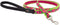 Lupine Leash 6-foot by 1/2" wide Petunias...