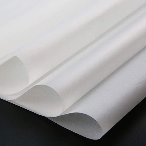 Yesallwas 50 Sheets White Carbon Transfer Paper Tracing Copy Paper, Idea for Wood/Paper/Canvas and Other Art Surfaces Tracing Copy(A4/8.3 x 11.5 I...