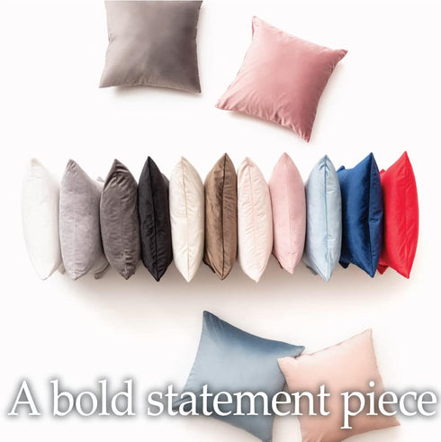 lalaLOOM Velvet Throw Pillow Covers, Set of 2, 18x18 Decorative Square Pillows Home Decor, Soft Accent Cases, Silky Machine Washable Pillowcases f...