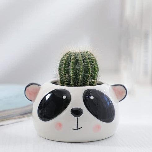 Succulent Pots,Cute Animal Panda Shaped Cartoon Ceramic Succulent Cactus Flower Planters with Bamboo Tray -Plant Not Included (4.13 Inch)...