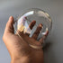 4.3 Inch Outdoor Waterproof Polycarbonate PC Clear Ball Cover Heightened Surveillance Security CCTV Camera Dome Protective Housing Optical Round T...