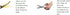 NAKABAYASHI Stationery Hikigiri Slim Scissors for Delicate Cutting (Dark Gray)...