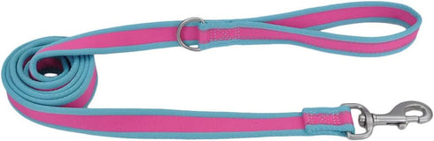 Coastal - Pro Reflective Dog Leash - 6 Foot Dog Leash with D-Ring - Fuschia with Teal - 3/4” x 6’...
