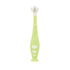 Dr. Talbot's 2-Piece Infant Toothbrush Training Set with Easy Grip Handle - 6+ Months...