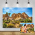 Sandstone Desert Mountain Backdrops,Yeele 5x3ft Vinyl Blue Sky White Clouds Cactus Tropical shrub Landscape Photography Background,Wilderness Hiki...