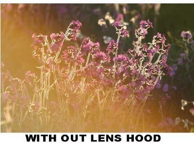 Polaroid Tulip Lens Hood 55mm...