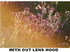 Polaroid Tulip Lens Hood 55mm...