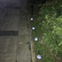 4 Solar Dog Animal Paw Print Lights Garden Statue Lantern Led Path 3" Light Lamp for Garden Patio Yard Decor Walkway Lighting (Cool White)...