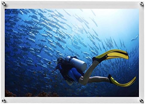 5x7 Floating Acrylic Picture Frame With Chrome Standoff Double Panel Wall Mount Photo Frame for Picture Up To inches (5x7)...