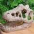Opexicos 2Pcs 8.5 x 5.5 x 4.5 cm Resin Dinosaur Skull Aquarium Decoration Terrarium Reptile Fish Tank Ornament...