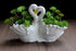 Funnuf Cute Animal White Ceramic Succulent Cactus Flower Planter for Home Garden Office Desktop, 1pcs, swan Couple...