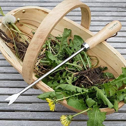 Burgon & Ball Stainless Steel Dandelion Weeder with Wooden Handle | RHS Endorsed & FSC Wood...