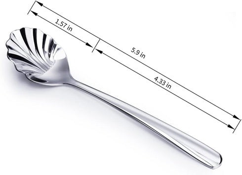 Csinos 304 Stainless Steel Spoon Shell Shape Flatware Spoon Set...