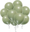 12 Inch Sage Green Balloons Eucalyptus Bridal Shower Balloons Greenery Gender Neutral Baby Shower Decorations Olive Green Party Balloons 40 Count...
