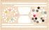 BENECREAT 13x7.8 Inch Wood Bead Board, Hollow Silicone Bead Board Kit, Papaya Whip Bead Wristlet Keychain Tools for Jewelry Making Bracelet Neckla...