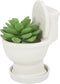 Cute Toilet Bowl Succulent Planter Pot with Drainage Tray, White Ceramic Cactus/Flower Container, Bonsai Holder for Air Plants...