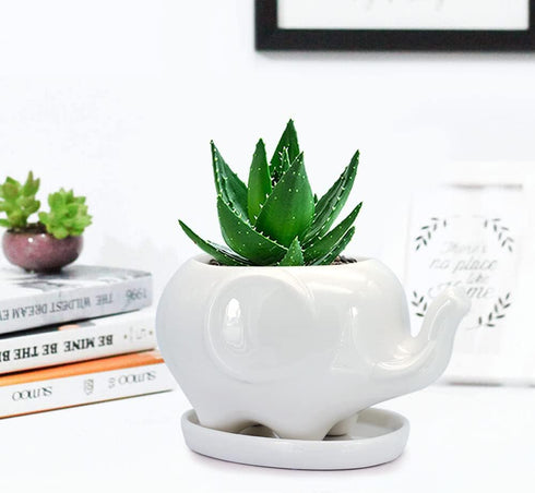 GeLive White Elephant Succulent Planter Ceramic Plant Pot Window Box with Saucer Animal Indoor Tabletop Decor Fun Gift 5 Inch (Mom Elephant)...