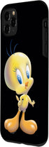 iPhone 11 Pro Max Looney Tunes Tweety Bird Airbrushed Case...