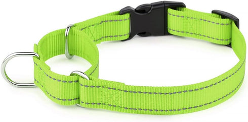 Plutus Pet Reflective Martingale Collar with Buckle - Durable and Adjustable Training Collar for No Pulling, Dog Choker Collar for Small Medium La...