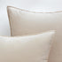 MIULEE Pack of 2 Decorative Velvet Throw Pillow Cover Soft Pillowcase Solid Square Cushion Case for Sofa Bedroom Car 20x20 Inch 50x50 Cm Cream Whi...