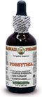 Forsythia - Your Natural Shield and Effective Protection, Alcohol-Free Liquid Extract, Organic Forsythia (Forsythia Suspensa) Dried Fruit Glycerit...