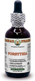 Forsythia - Your Natural Shield and Effective Protection, Alcohol-Free Liquid Extract, Organic Forsythia (Forsythia Suspensa) Dried Fruit Glycerit...