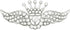 Rosemarie & Jubalee Women's Stunning Silver Tone Angel Wings with Crown Top Crystal And Simulated Pearl Brooch Lapel Pin, 1.25"...