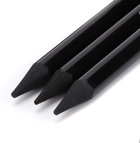 Pssopp Charcoals,25pcs Woodless Charcoal Pencils, Charcoal Drawing Bar Sticks Sketch Pencils Artist Art Drawing Sketching Painting Tools Stationer...