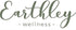 Earthley Wellness, Cleaning Paste, Eco-Friendly, Pure, Certified Organic Cleaning Agent, Septic Safe, Plant Based Cleaner, Sulfates and Phosphates...