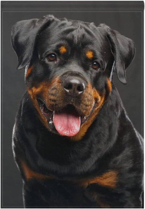 Rottweiler Dog Garden Flag Banner 12 x 18 Inch Decorative Garden Flag for Outdoor Lawn and Garden Home Décor Double-Sided...