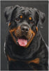 Rottweiler Dog Garden Flag Banner 12 x 18 Inch Decorative Garden Flag for Outdoor Lawn and Garden Home Décor Double-Sided...